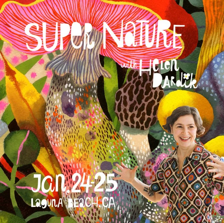 SuperNature_dardik_Jan2026_2.jpg