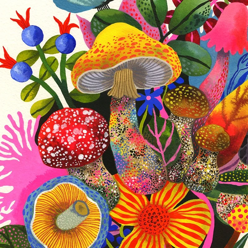 dardik_MushroomConnection_Shop2.jpg