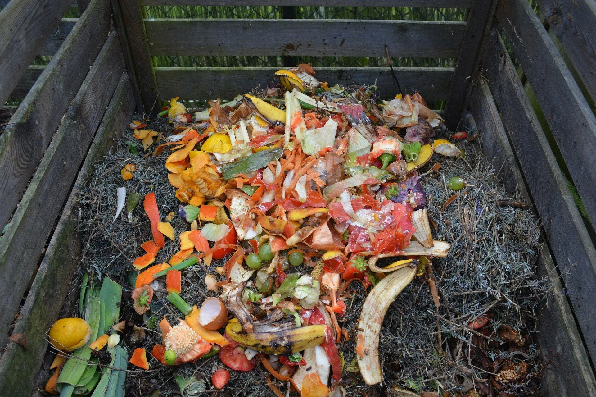 Reducing Food Waste