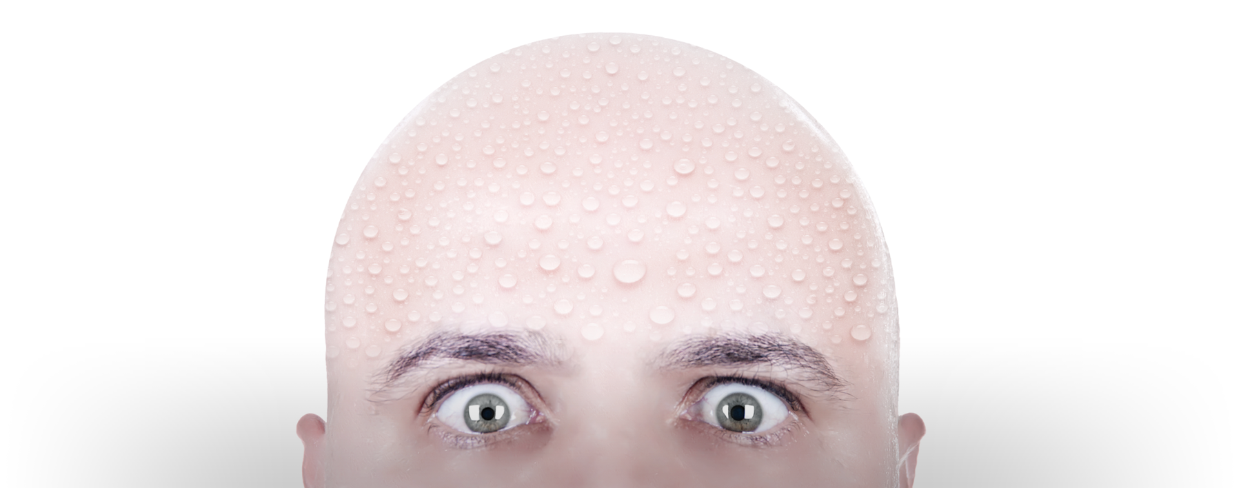 head.png