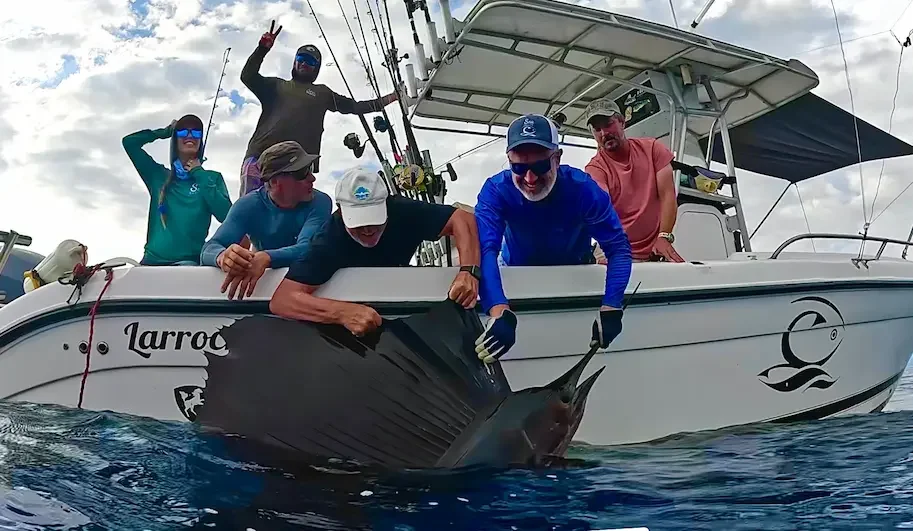 Pacific sailfish caught and released in tamarindo costa rica with sea breeze fishing and adventures