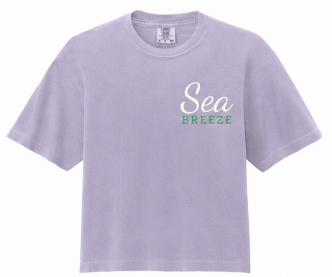 Softest T-shirt ever – Coastal Lavender.png
