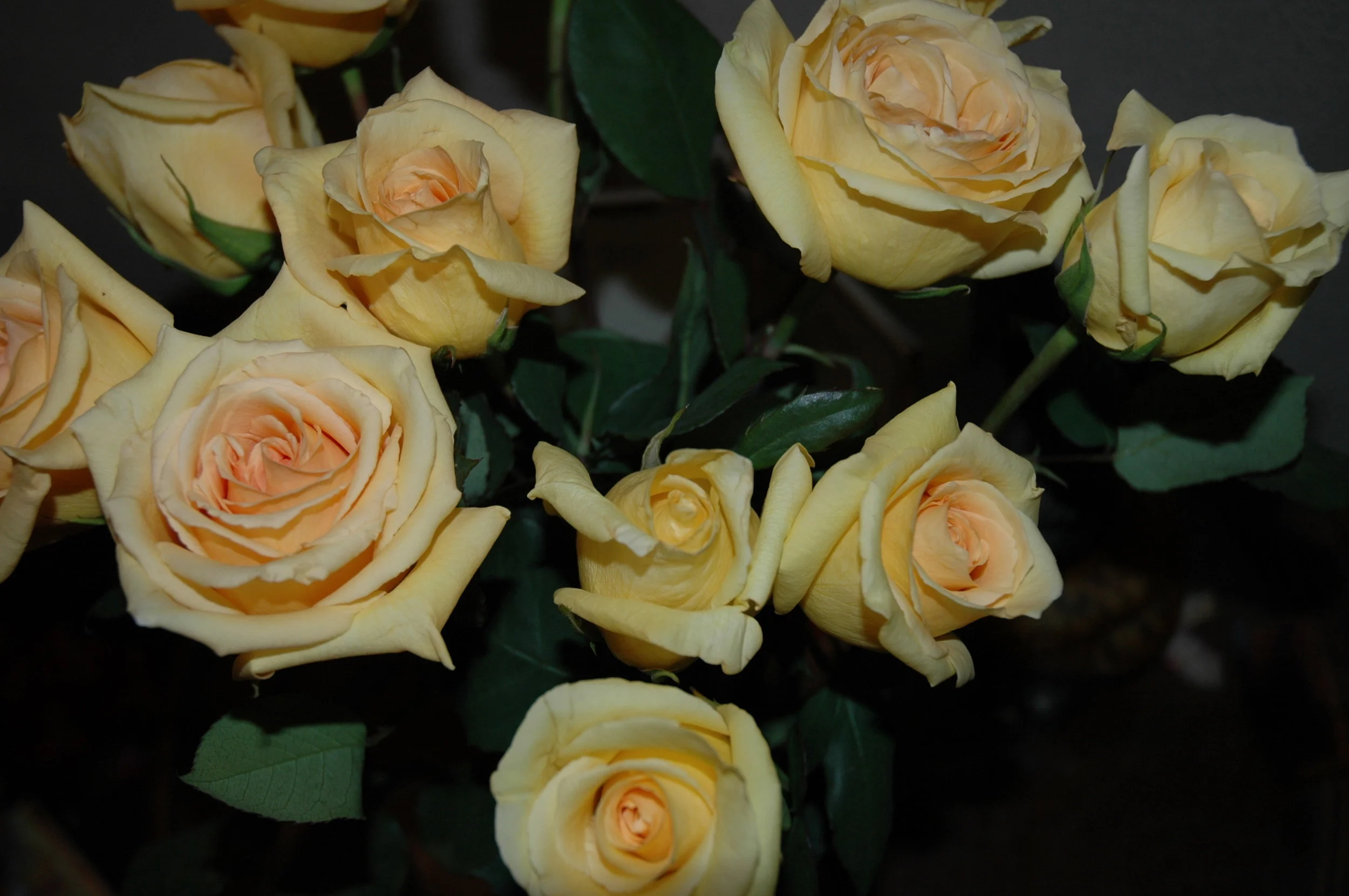 Flowers5.jpg