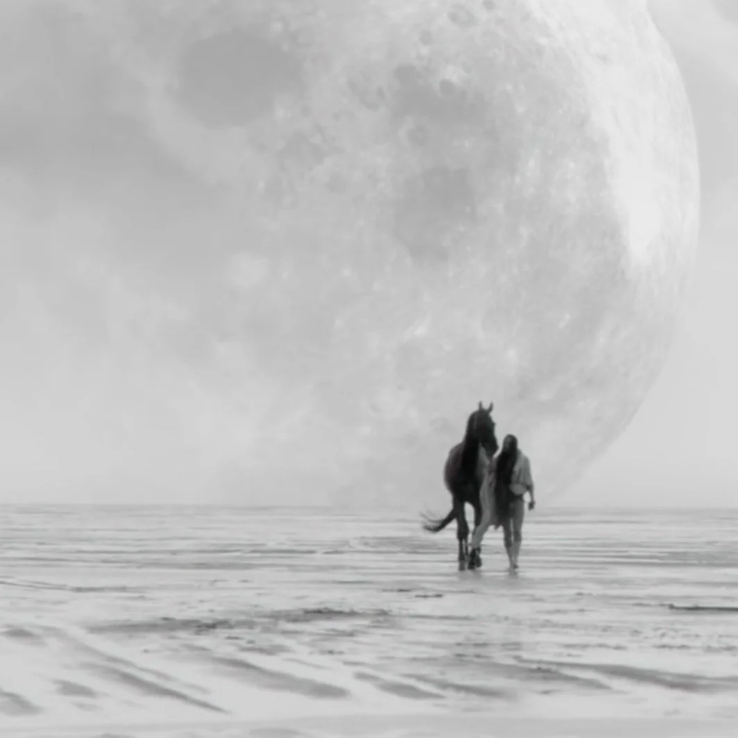 Arms of the Infinite — Cinematographer