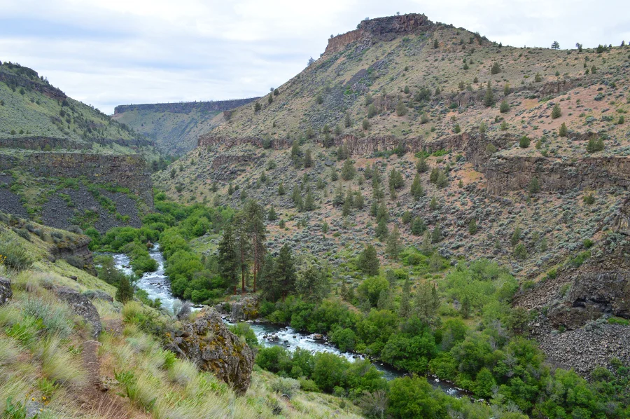 Deschutes River Canyon