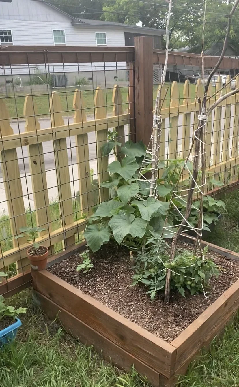  Gardening at Austin nature preschool De La Madre Daycare 