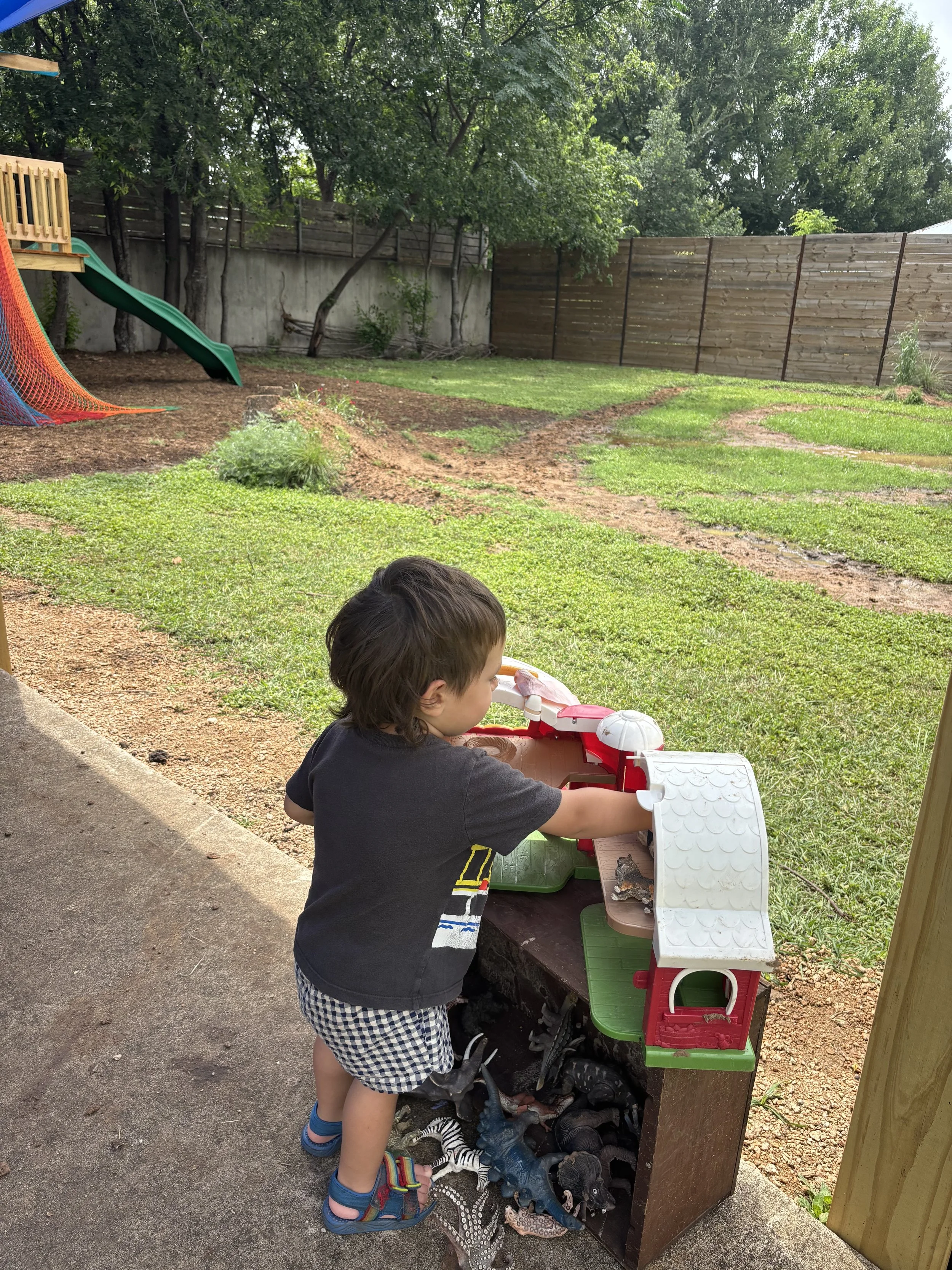 IMG_7172.jpeg