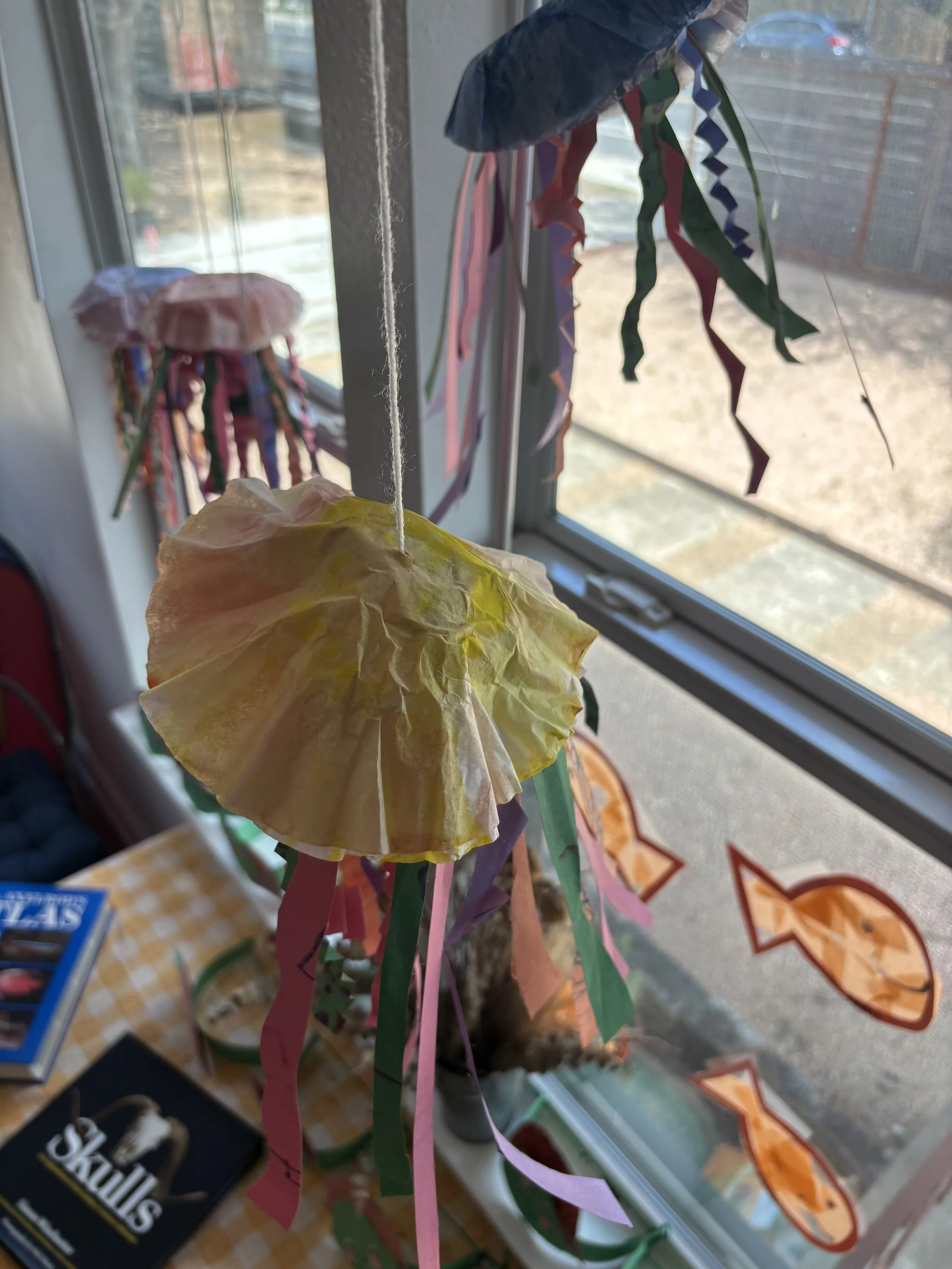 IMG_7292.jpeg