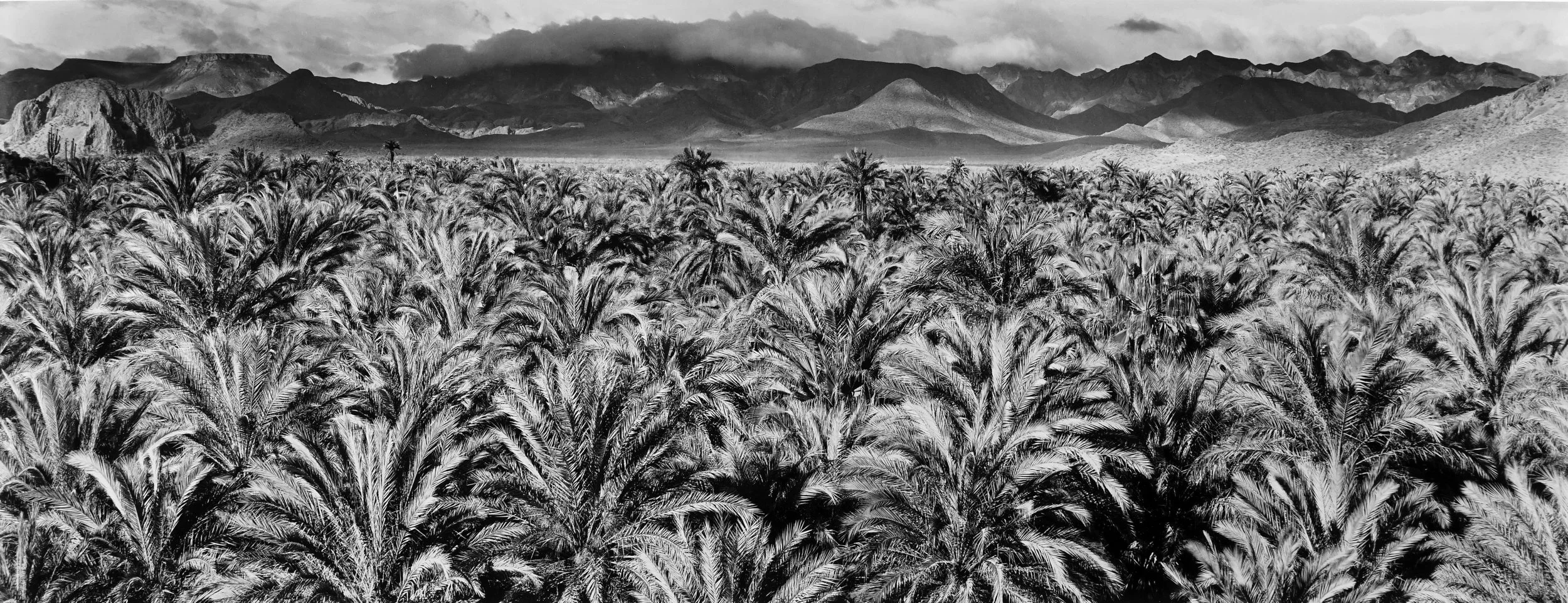 Michael A. Smith  “Baja, CA, 2013”  8”x20” vintage silver gelatin print  Signed and dated on recto. Titled, dated and numbered on verso. 