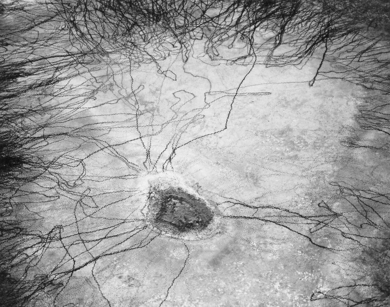 William Garnett  “Waterhole and Cattle Tracks, Santa Fe Trail, NM, 1975”  16”x20” silver gelatin print  Signed in pencil on recto. Stamped, titled, dated on verso.