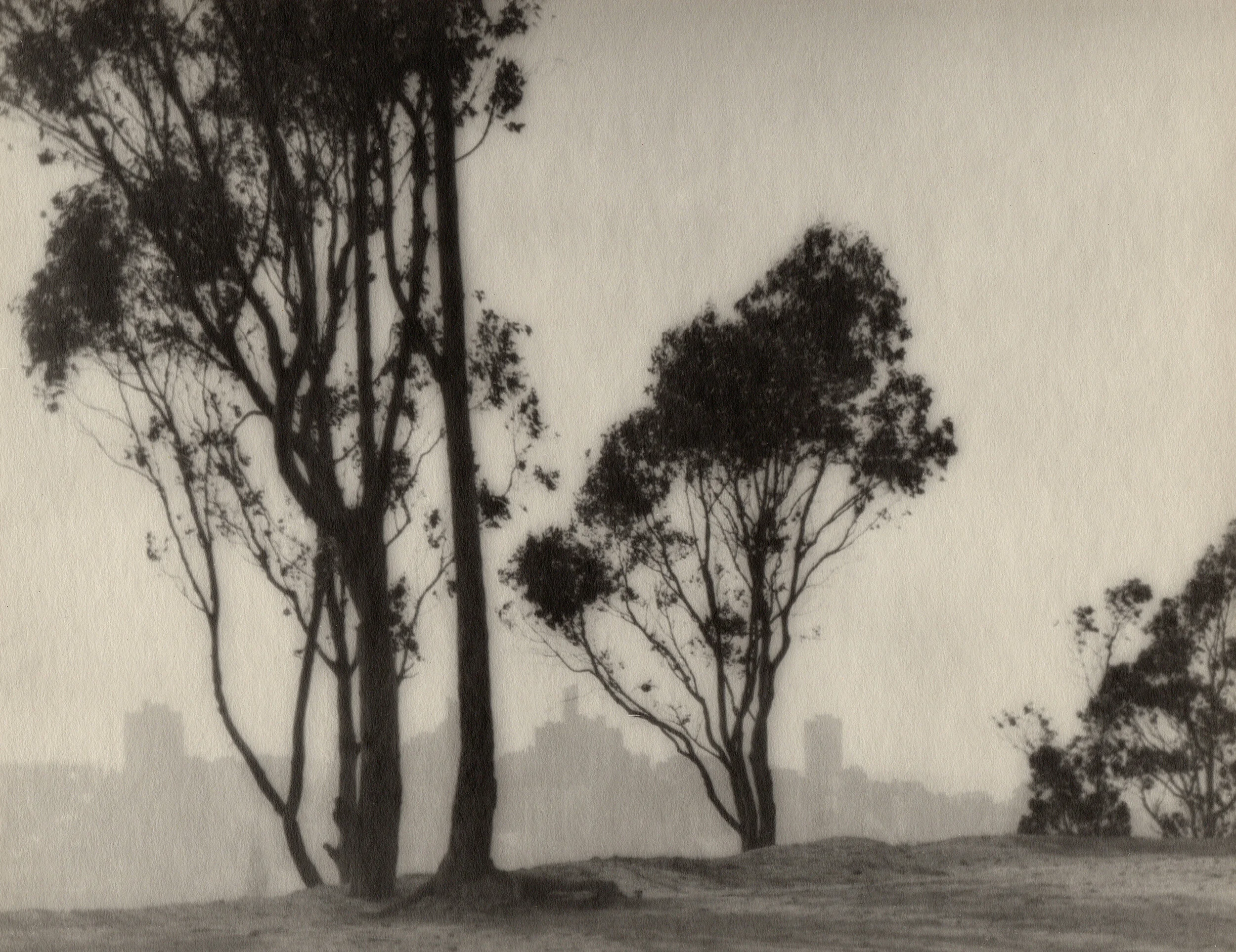  William Dassonville  “San Francisco from Telegraph Hill, 1925”  11”x14” vintage silver gelatin print 