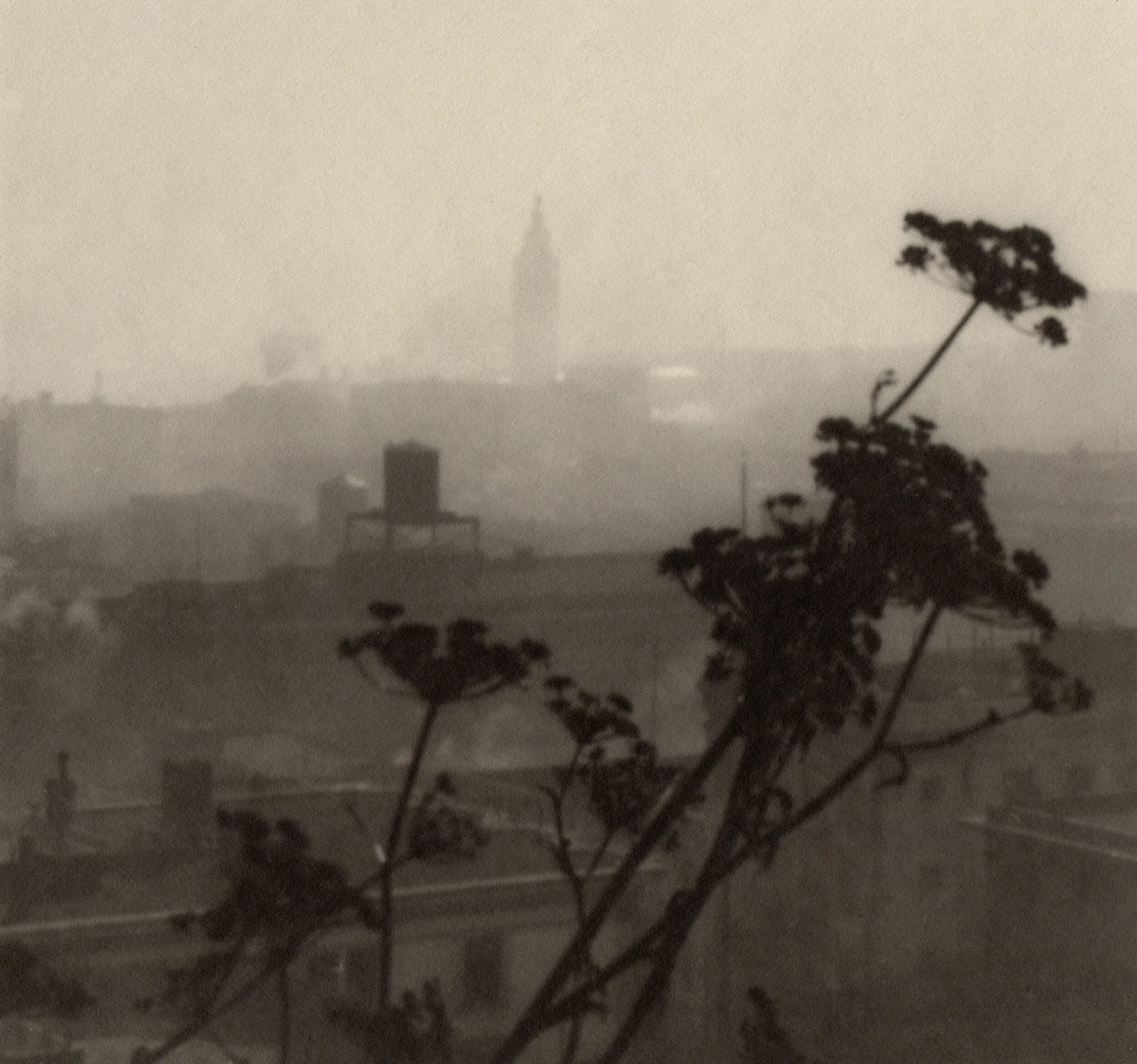  William Dassonville  “San Francisco from Telegraph Hill, 1925”  11”x14” vintage silver gelatin print 