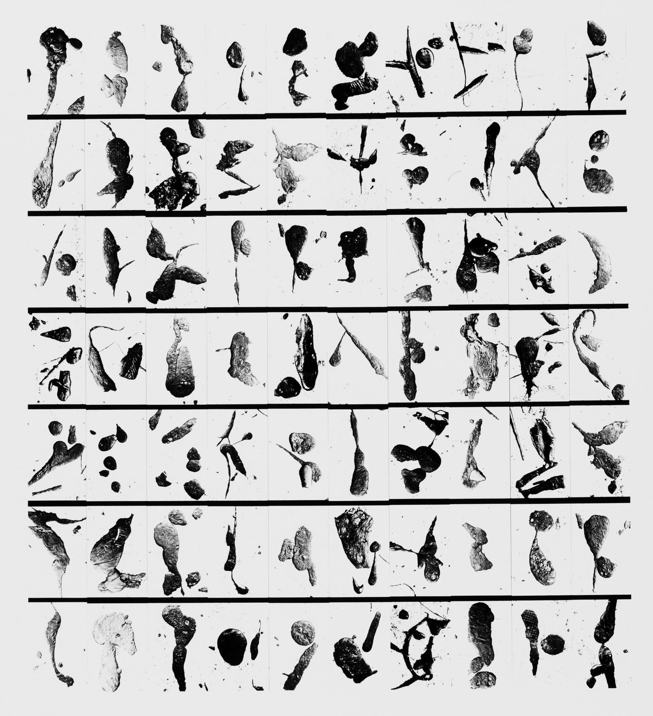 Barbara Crane “Tar Findings, 1974” 9”x10” Mounted silver gelatin print Signed, titled and dated on verso