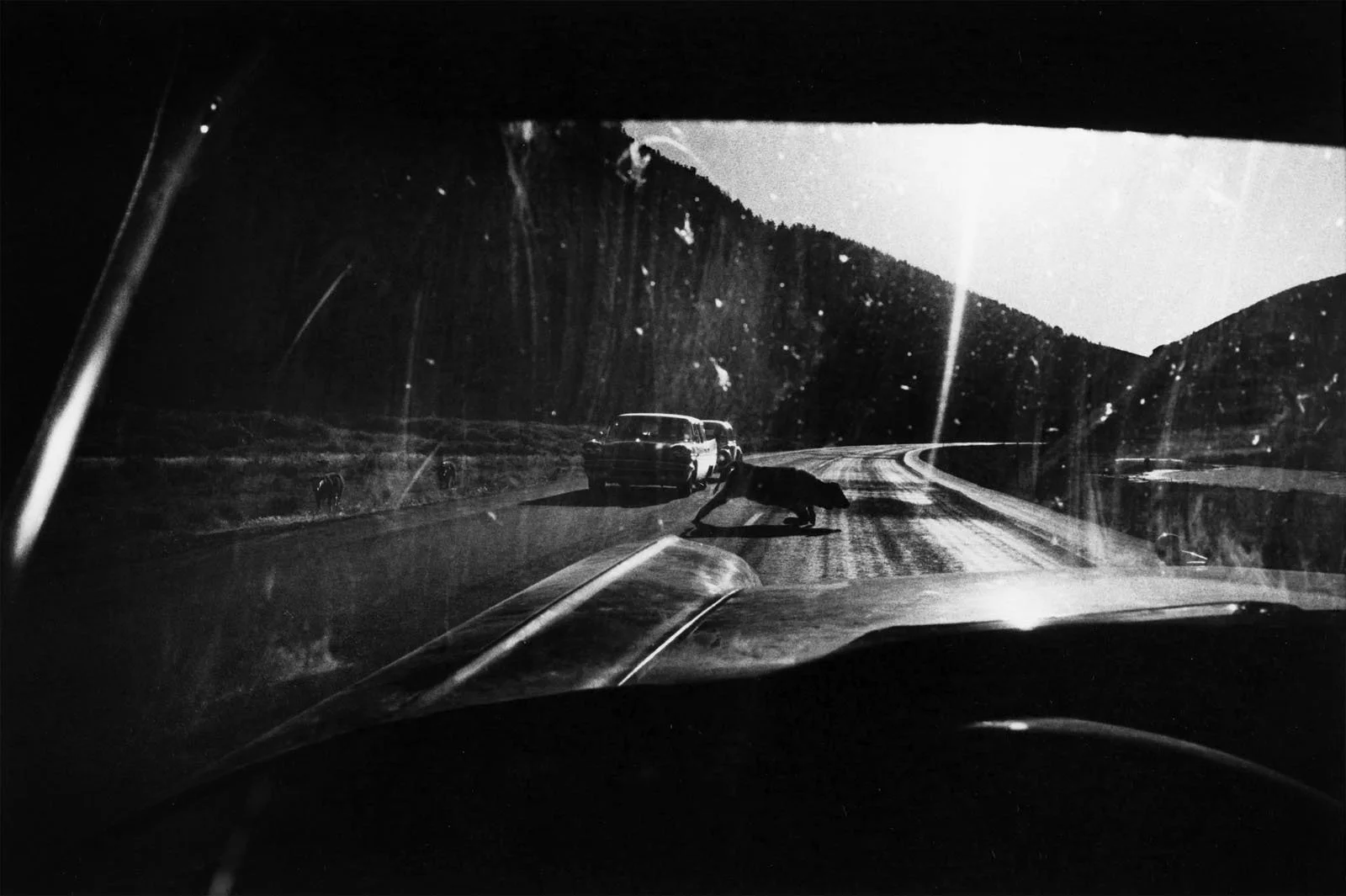 Garry Winogrand “Wyoming, 1964” 11”x14” Vintage silver gelatin print Signed and dated on verso