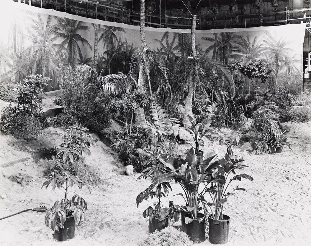  Robert Cumming  “ Marinduque Island Jungle - Stage #36”   8”x10” silver gelatin contact print  Signed and dated in pencil on verso 