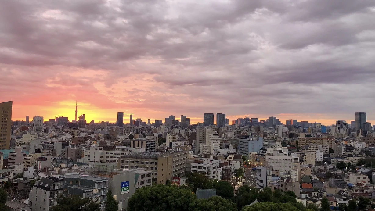 Megumi Tokyo Sunset compressed.jpg