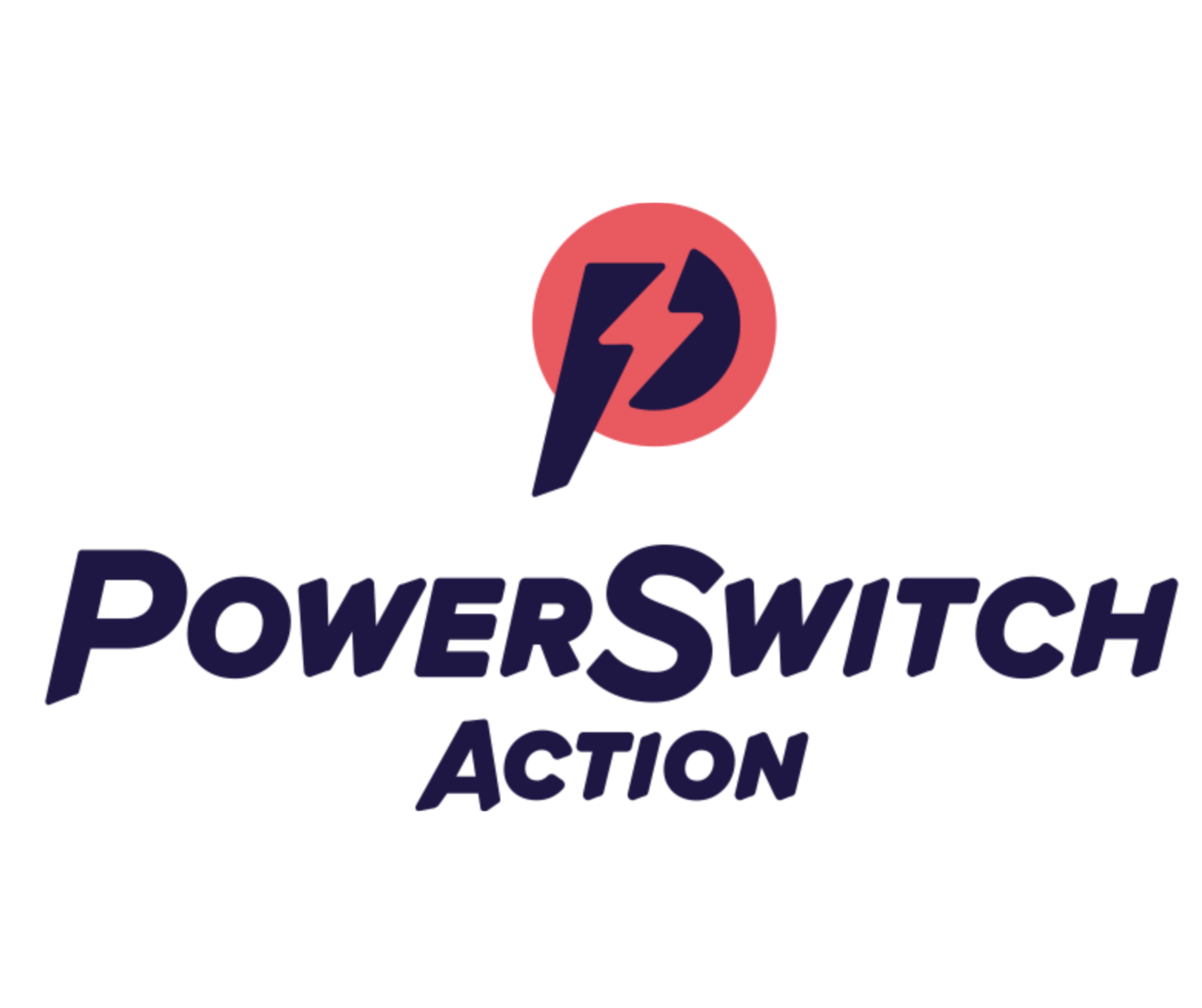 Development Director (PowerSwitch Action)