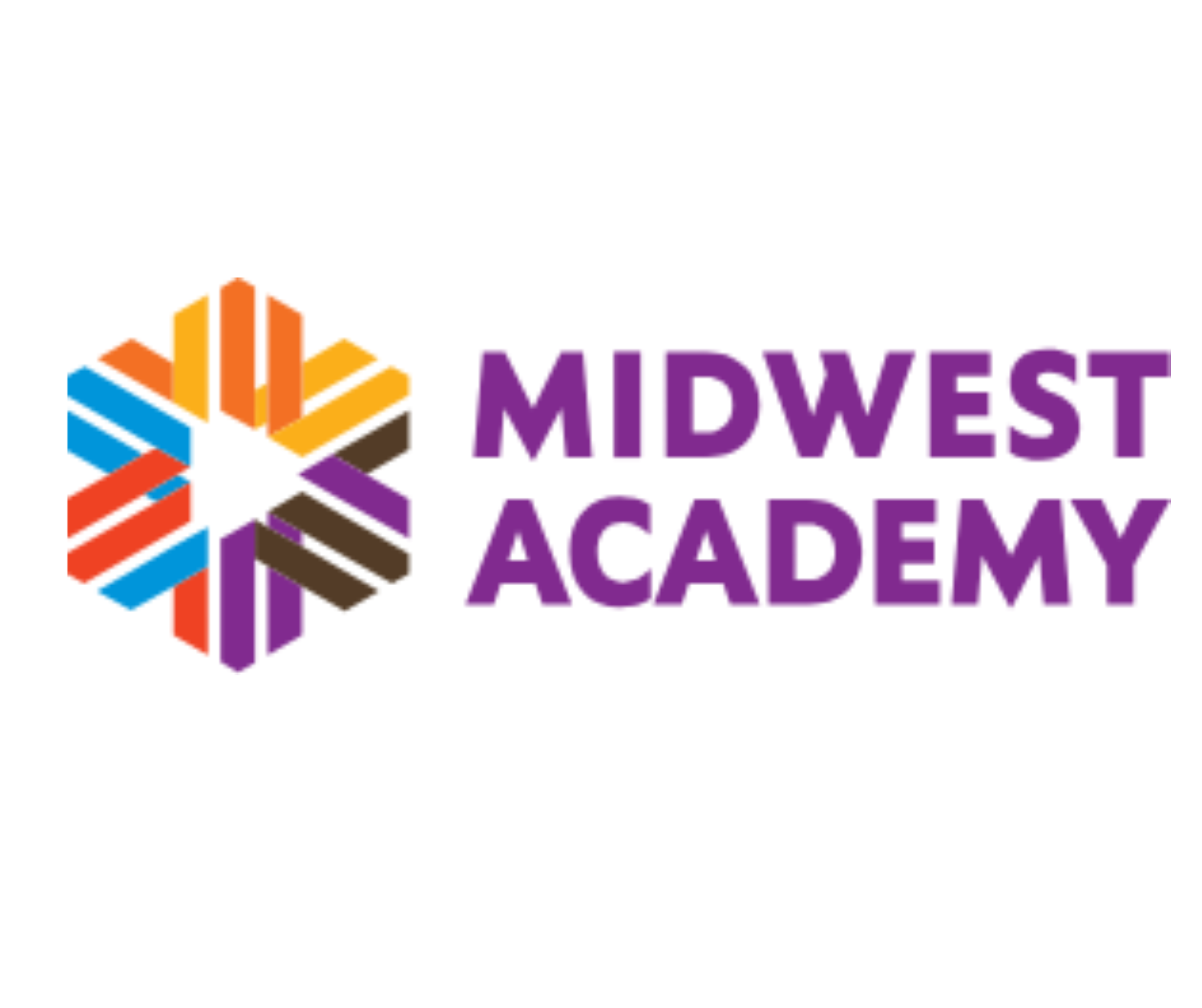 Co Director (Midwest Training Academy)