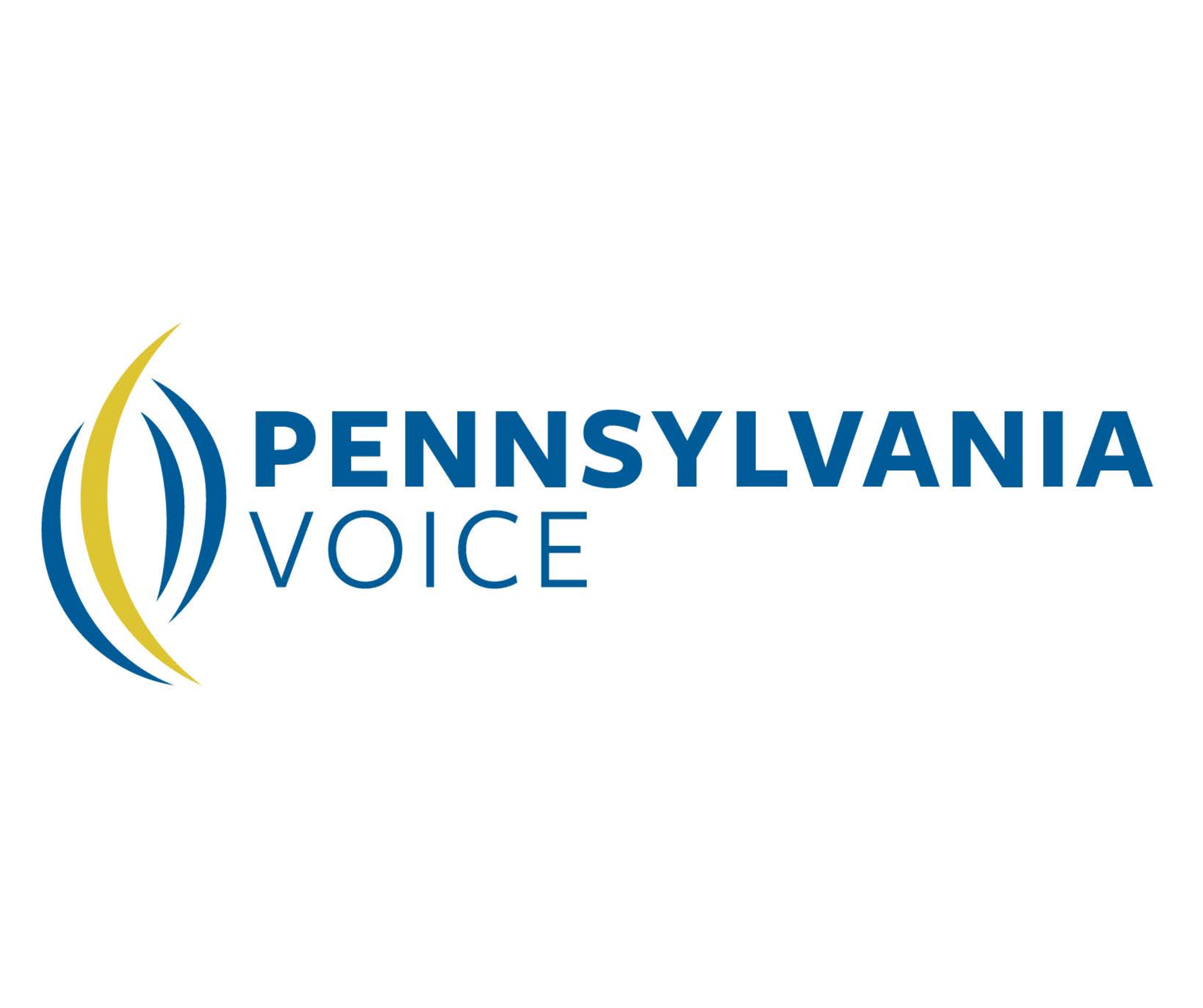 Executive Director (Pennsylvania Voice)