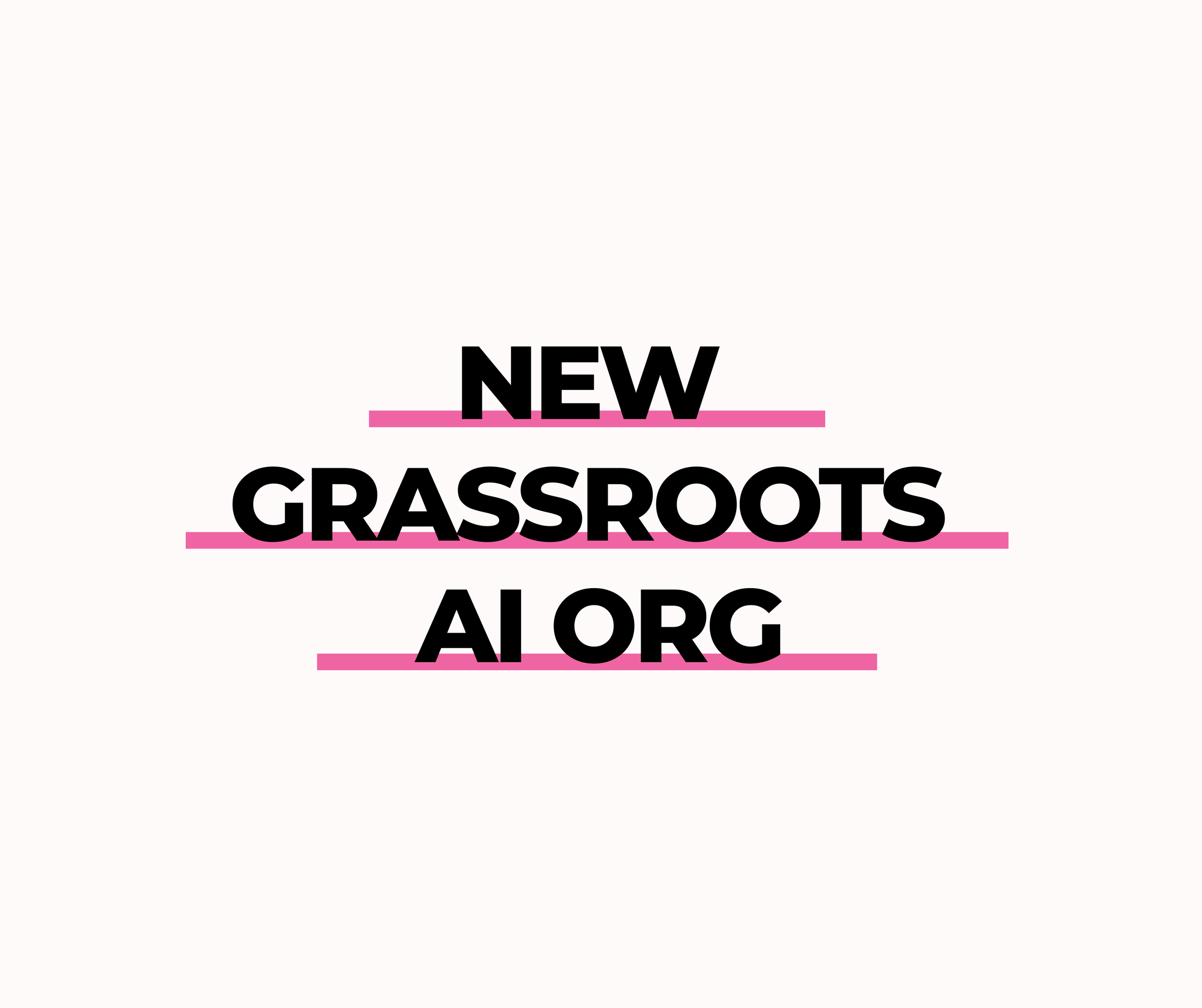 Executive Director (New Grassroots AI Org)