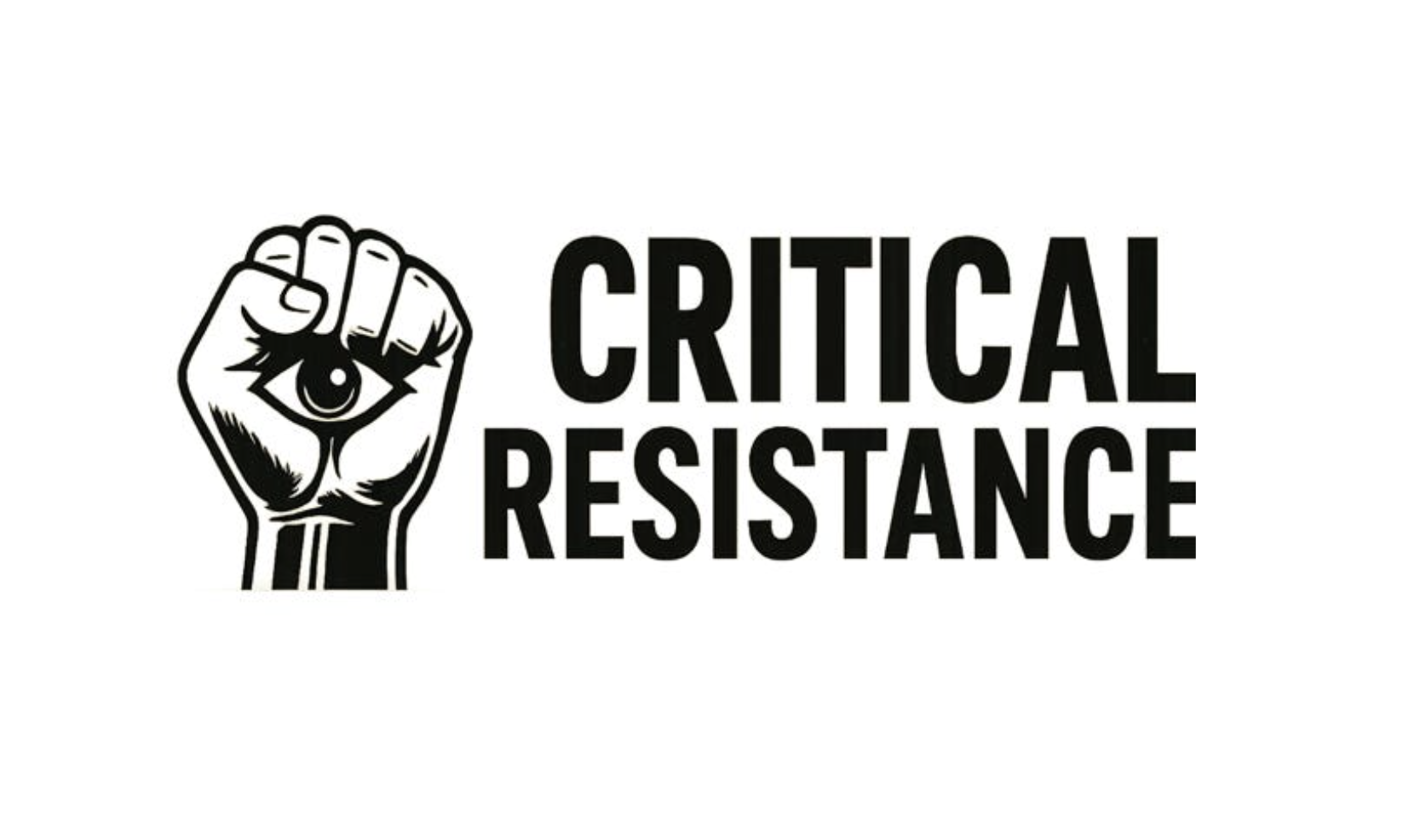 Capital Campaign Director (Critical Resistance)