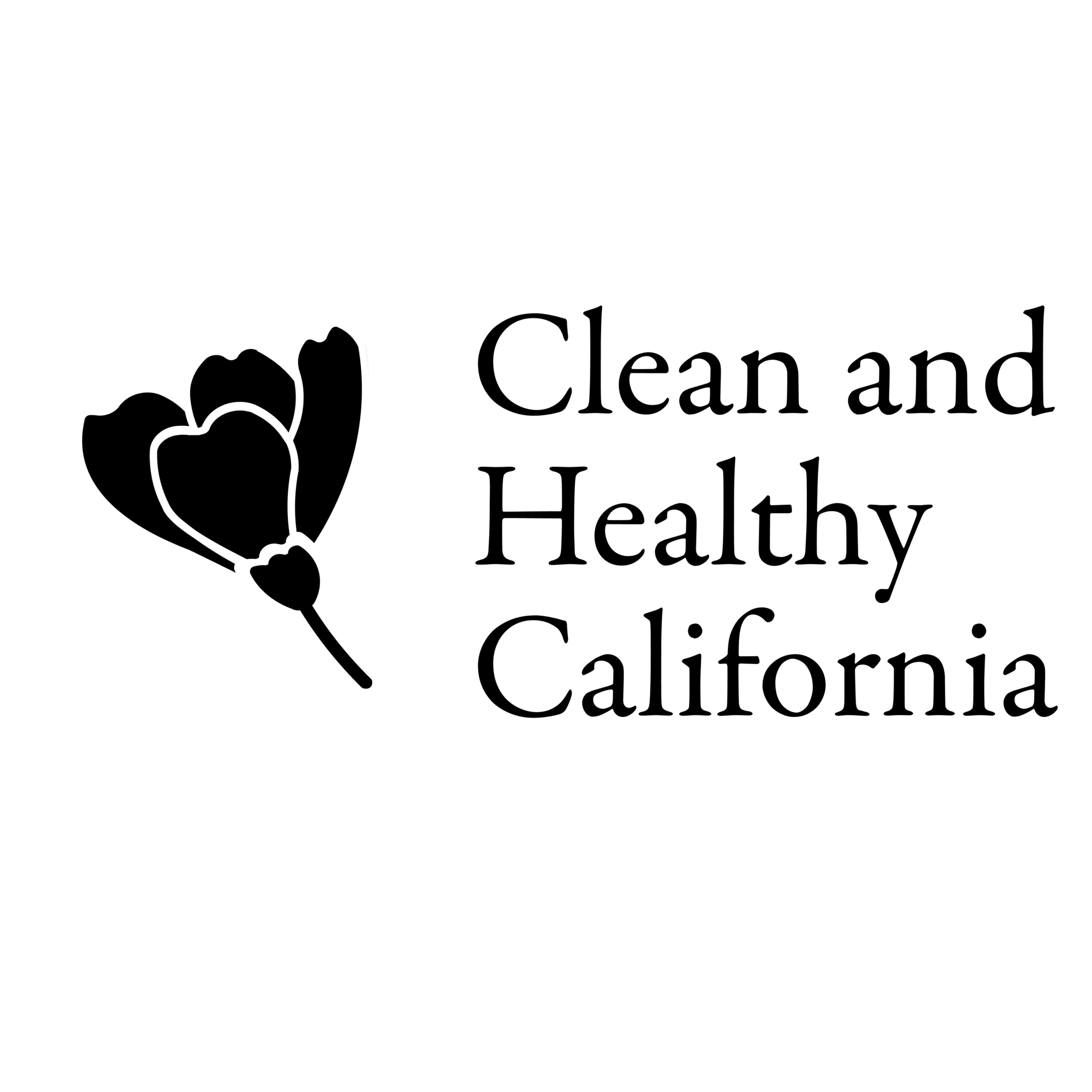 Executive Director (Clean and Healthy California)