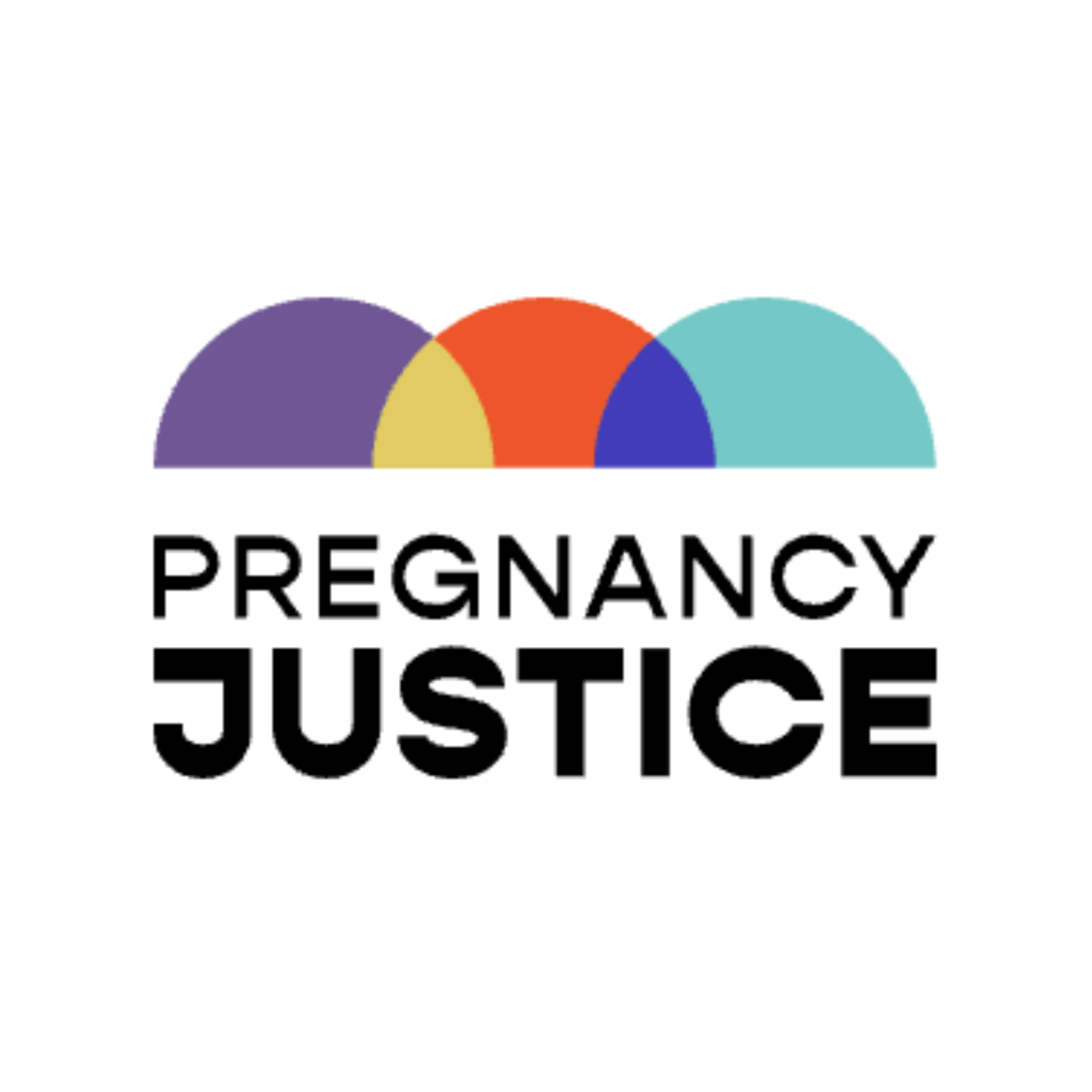 Major Gifts Officer (Pregnancy Justice)