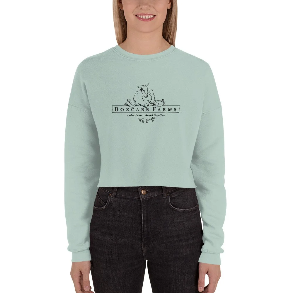 womens-cropped-sweatshirt-dusty-blue-front-6377c86237628.jpg