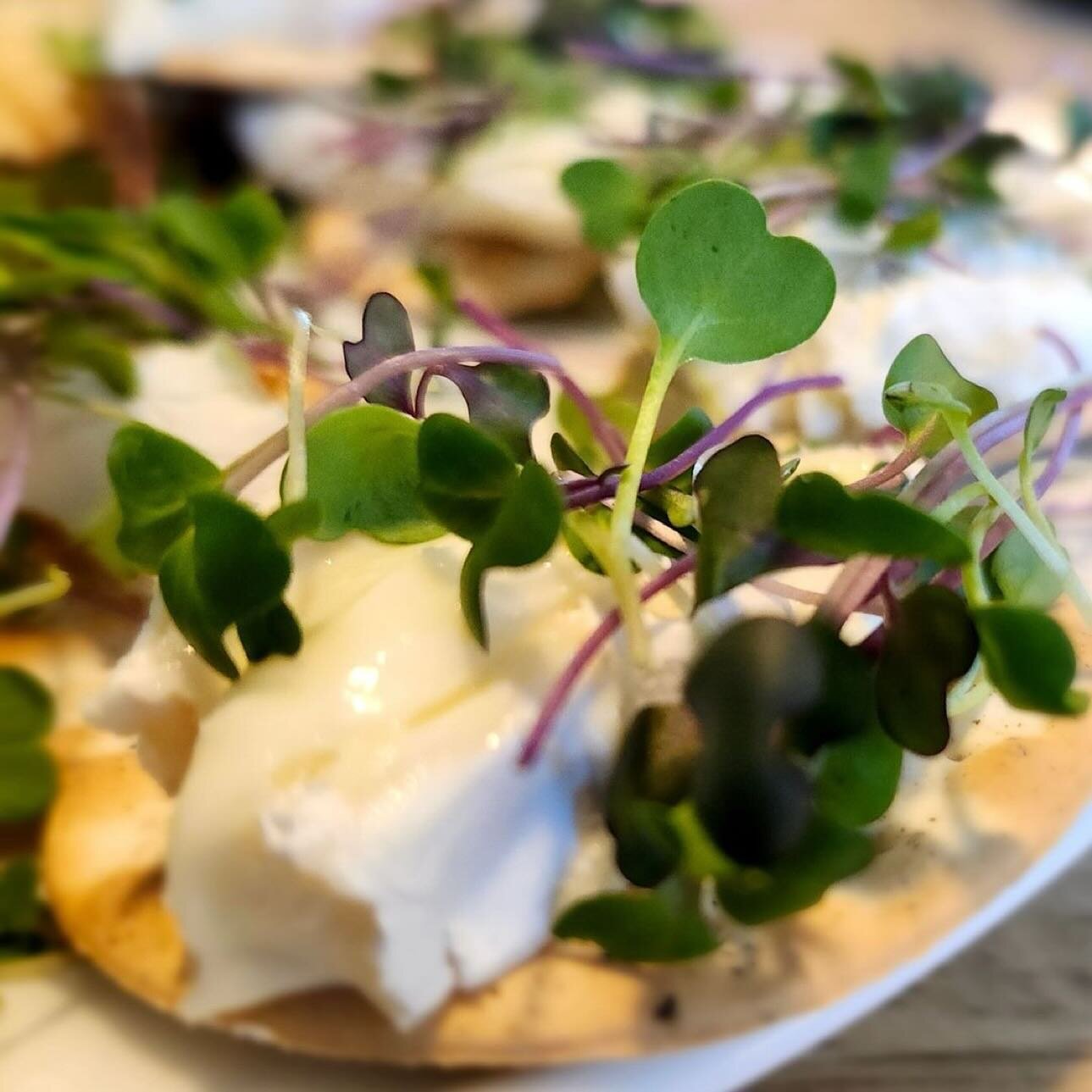 Repost from @bullcityfarm
&bull;
Wonderful local lunch today. @boxcarrhandmadecheese  cheese with @mamaspringsfarm micros. A wonderfully fresh meal!