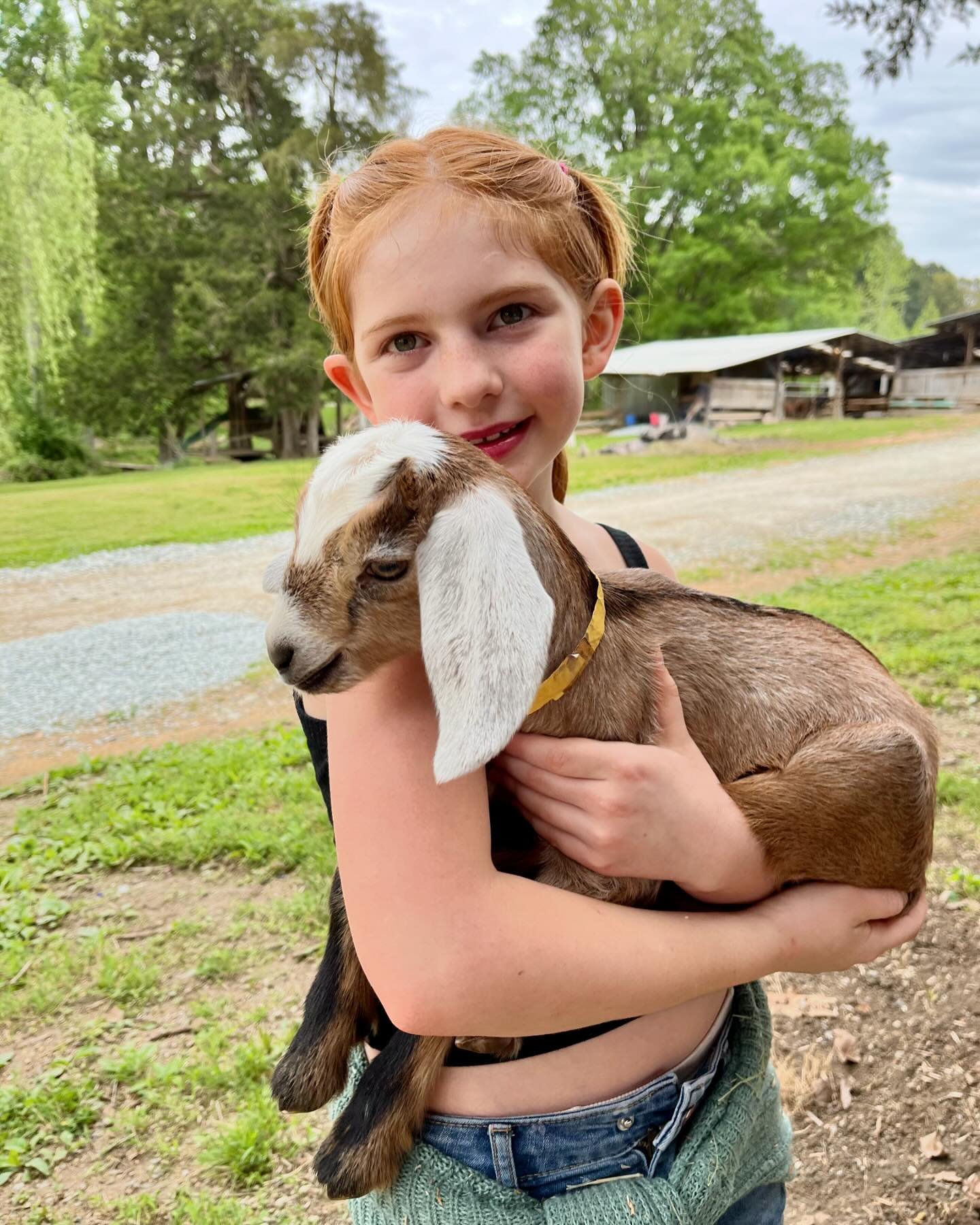 More cute pictures from the #piedmontfarmtour put on by @carolinafarms and sponsered by @weaverstreetmarket . We had such a good time and can&rsquo;t wait till next year.  #localfarm #localfood #localfoodcoop