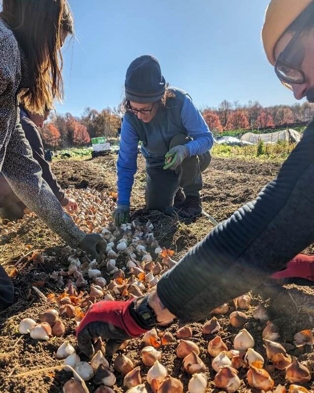 Governed by the seasons, for farmers winter solstice is quite often a time of reflection. For us it is a time when we contemplate our achievements, failures and lessons learned, with feelings of gratitude for the every day treasures and beauty in our