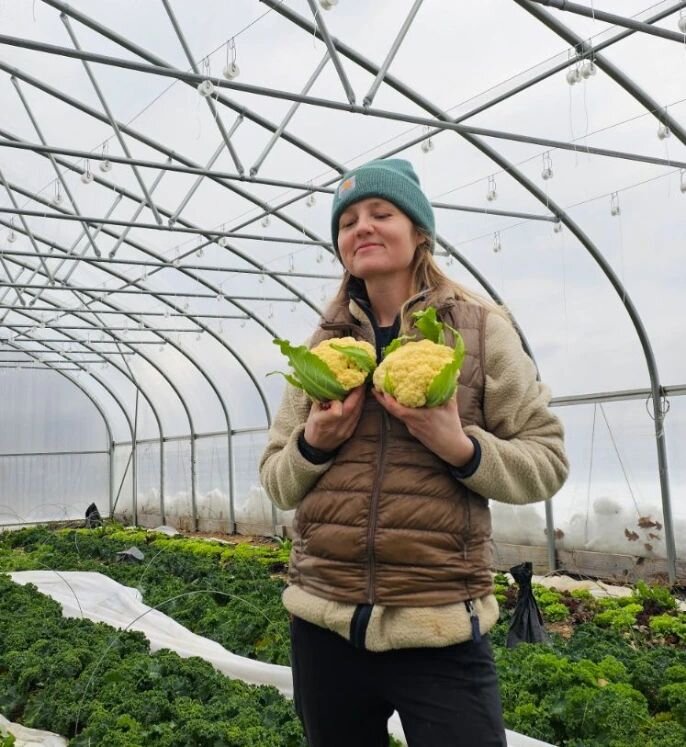 No, your eyes do not deceive you - we do indeed have freshly harvested cauliflower in New York in January. So yes, we obviously had to have a cauliflower boobs hightunnel photo shoot. But heads up, quantity is limited because growing cauliflower in N