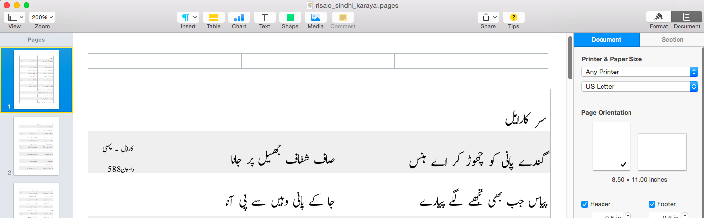 Typing up the Risalo script