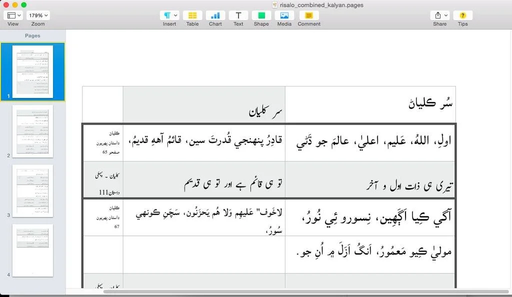 Script work in Jamshoro