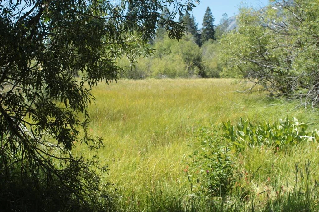 Vivitar 28mm f2.0 Komine lens tests