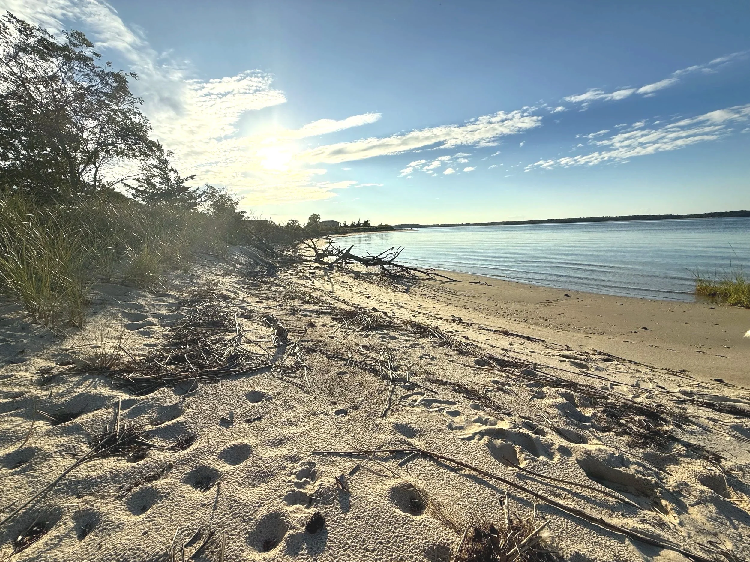 Sag HarborFest 🎉 2026