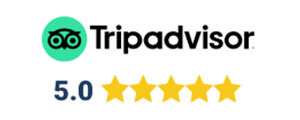 tripadvisor-reviews.jpg