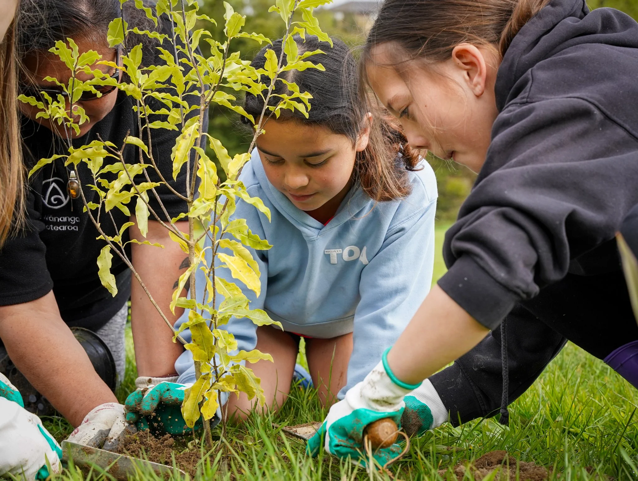 Recognition for Porirua City harbour health project