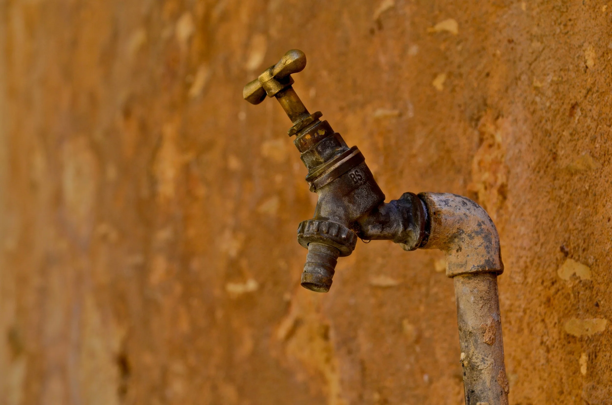 Seven Best Plumbers in Wellington, New Zealand