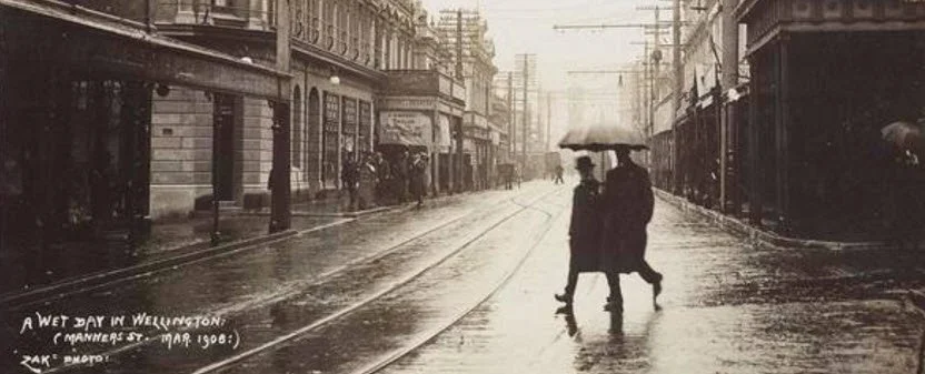 Old Wellington Region.jpg