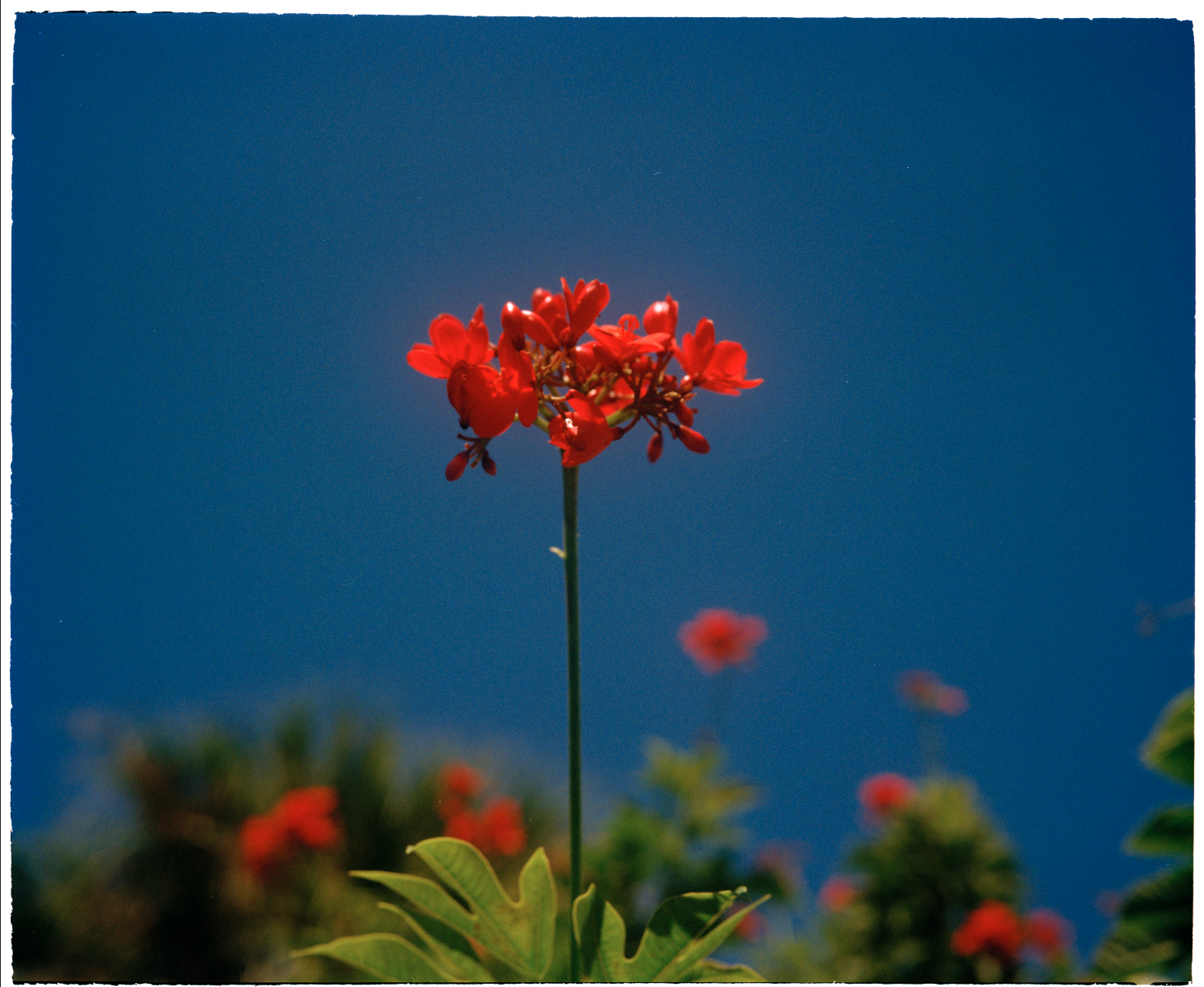IMG_9605.PNG