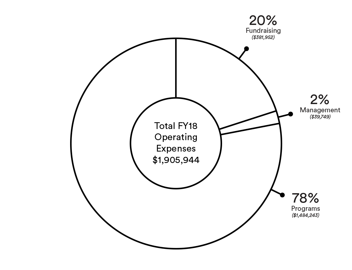 REST_Annual-Report-18_finance_op-expense-2.png