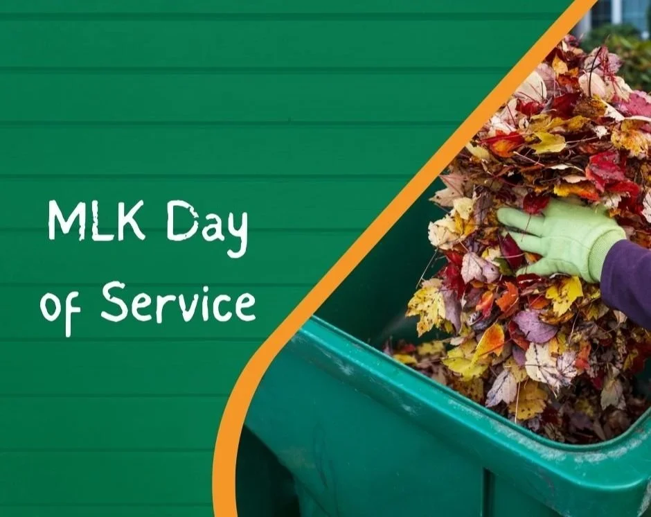 MLK Day of Service
