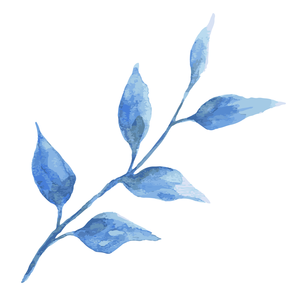 20.png