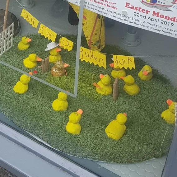 Winning ducks!