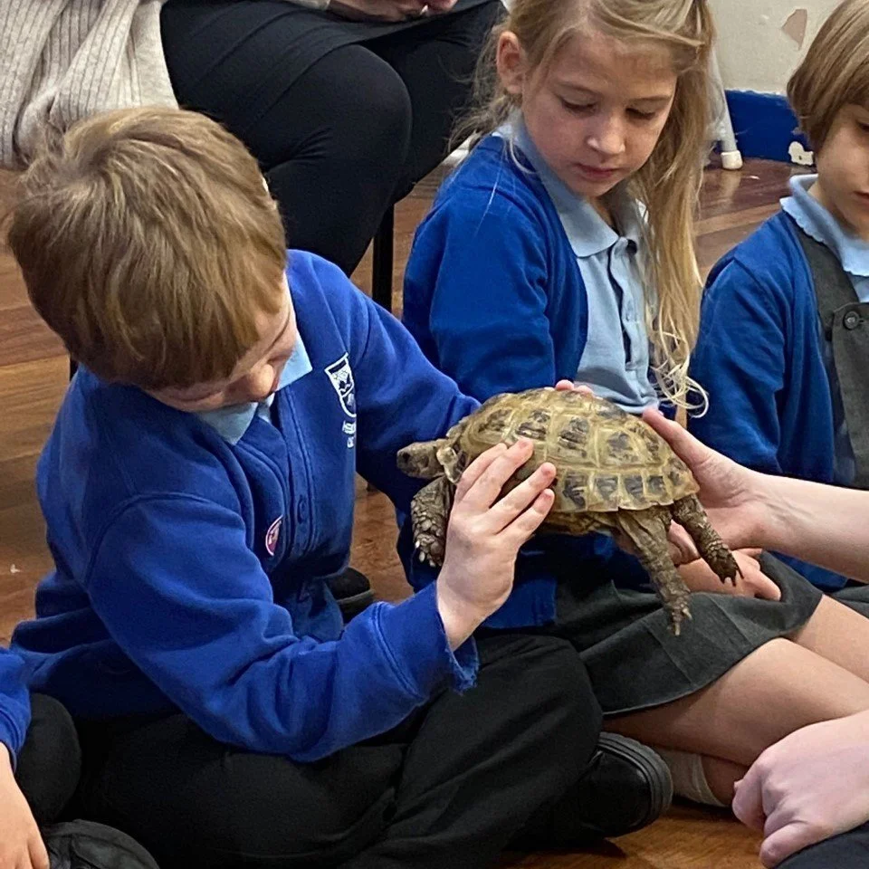 ZooLab EYFS &amp; KS1
