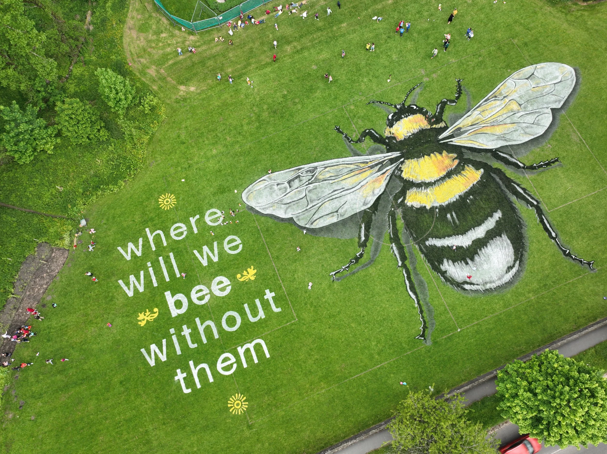 World Bee Day 2022