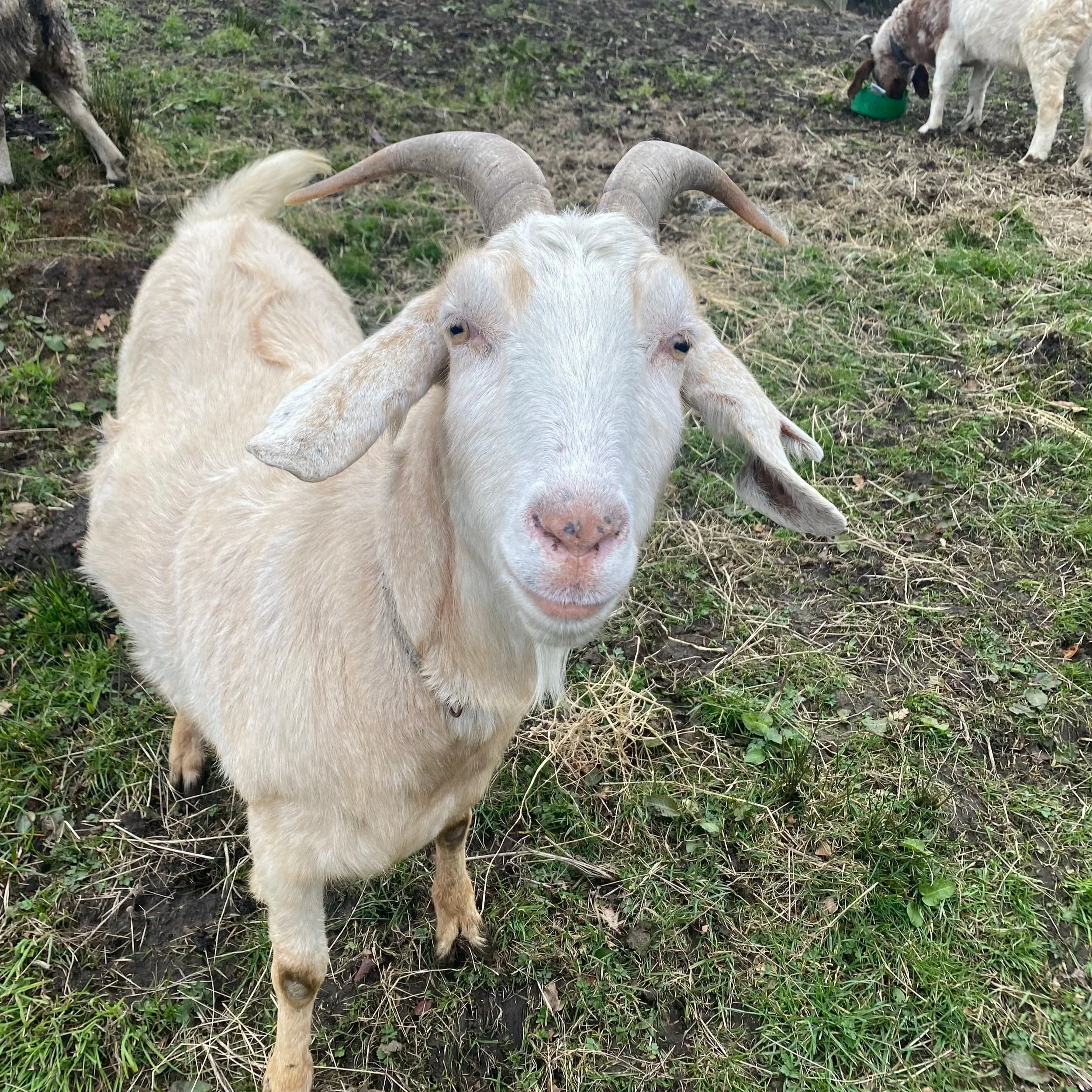 A Heartwarming Story of Kindness