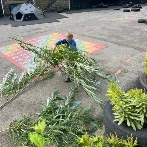 A Busy Week in the Back Yard
