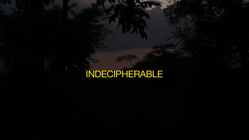  Emma Wolukau-Wanambwa,  Promised Lands  (still), 2015. Courtesy of the artist. A still image from the film, showing a near-dark landscape, with the word Indecipherable across the middle of the image, in yellow caps 
